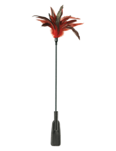 SPORTSHEETS FEATHER SLAPPER