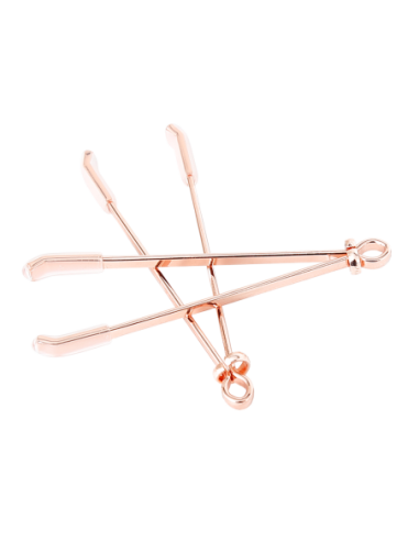 PLEASURE BOX SEXY CALENDAR