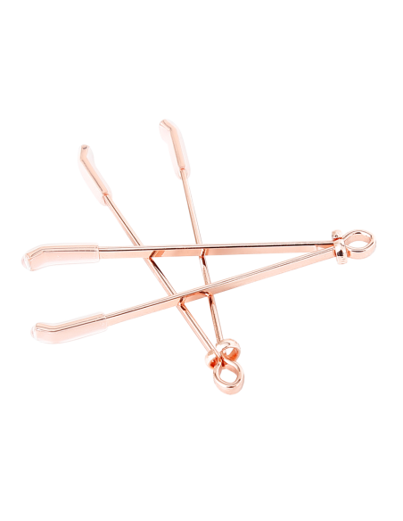 PLEASURE BOX SEXY CALENDAR