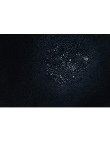 WHIPSMART LANZAMIENTO DE AMOR