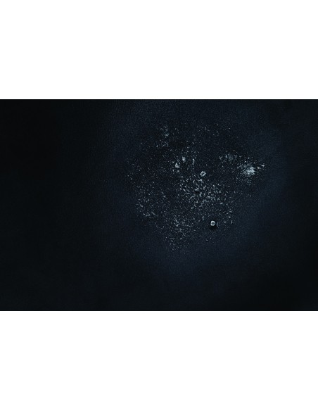 WHIPSMART LANZAMIENTO DE AMOR