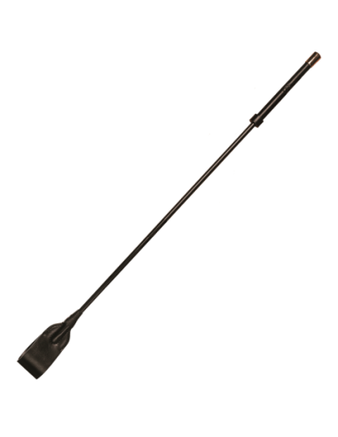 GUILTY PLEASURE RADIANT REIGN CROP