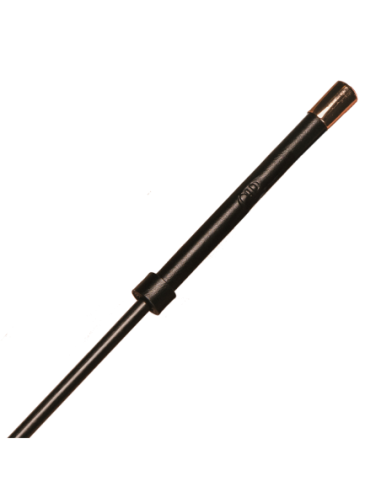 GUILTY PLEASURE RADIANT REIGN CROP