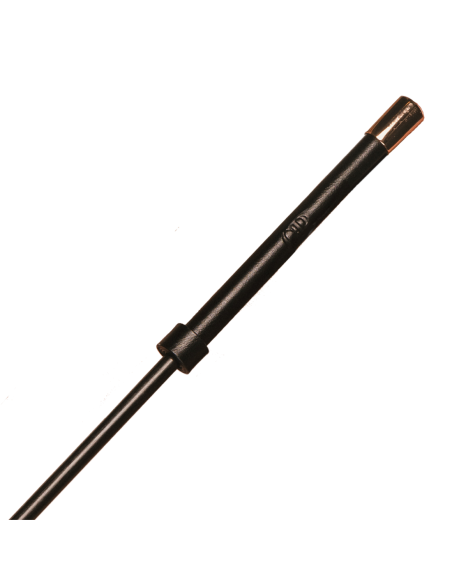 GUILTY PLEASURE RADIANT REIGN CROP