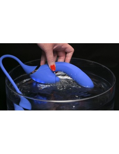 EVOLVED TODO INCLUIDO