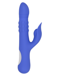 EVOLVED POP VA LA O 2