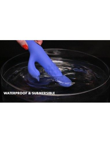 EVOLVED POP GOES THE O