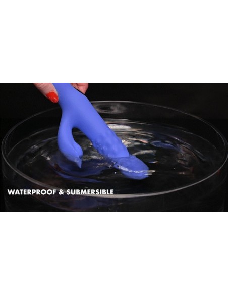 EVOLVED POP GOES THE O