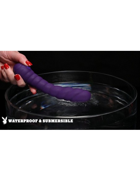 PLAYBOY TWISTED PLAYGROUND