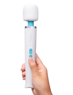 LE WAND CLASSIQUE PETITE WAND MASSAGER 2