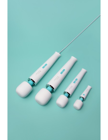 LE WAND CLASSIQUE PETITE WAND MASSAGER
