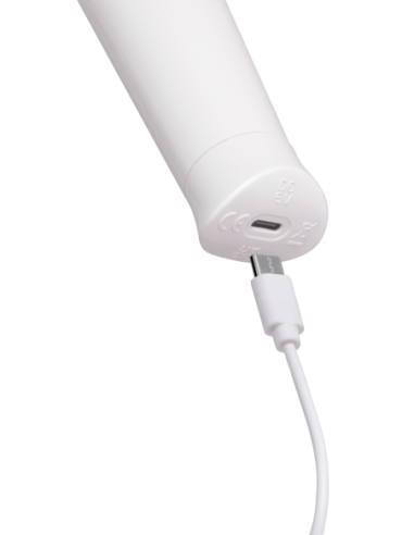 LE WAND CLASSIQUE PETITE WAND MASSAGER