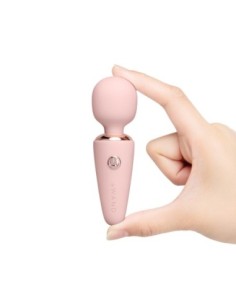 LE WAND MINI MICRO WAND RG