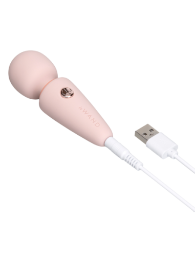 LE WAND MINI MICRO WAND RG