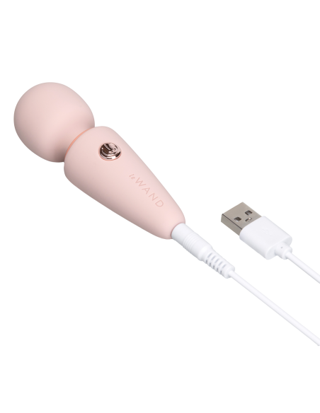 LE WAND MINI MICRO WAND RG