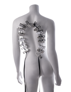 SPORTSHEETS EDGE BODY ZIPPER CLOTHES PINS 2