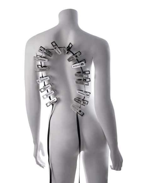 SPORTSHEETS EDGE BODY ZIPPER CLOTHES PINS