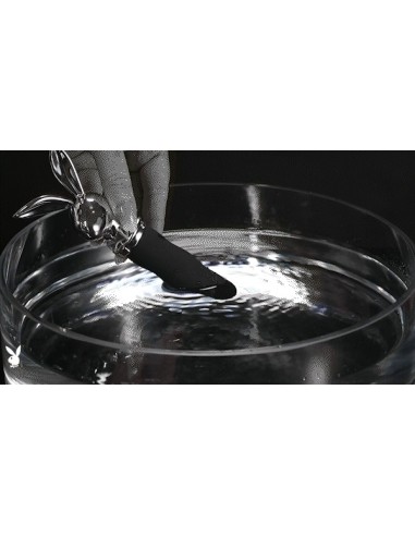 PLAYBOY BUNNY ON THE GO