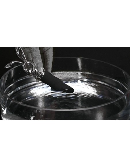 PLAYBOY BUNNY ON THE GO