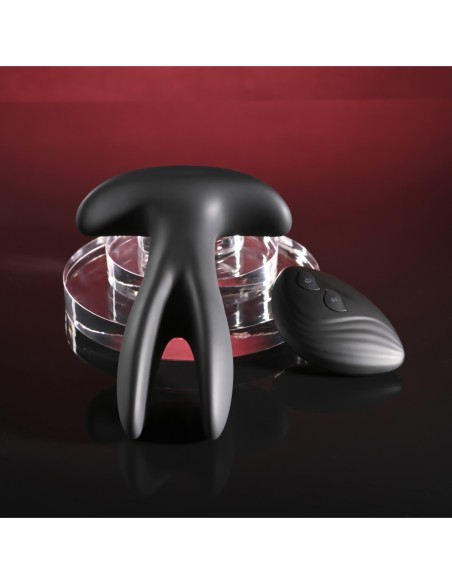 GENDER X SPREAD THE LOVE